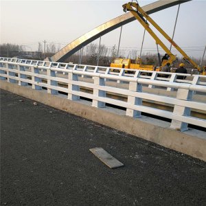 不锈钢桥梁防撞护栏 白色